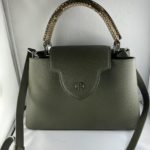 LOUIS VUITTON Sac Capucine BB en cuir vert poignée python